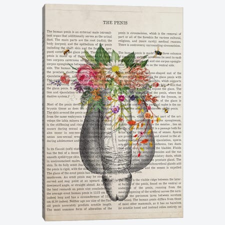 Human Penis Anatomy Flower Canvas Print #ADP3493} by Aged Pixel Canvas Wall Art