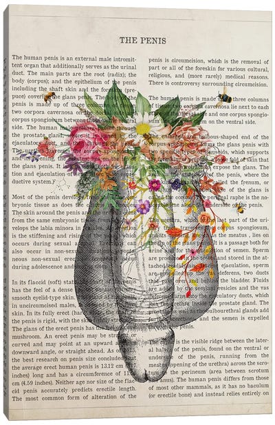 Human Penis Anatomy Flower Canvas Art Print - Male Nude Art