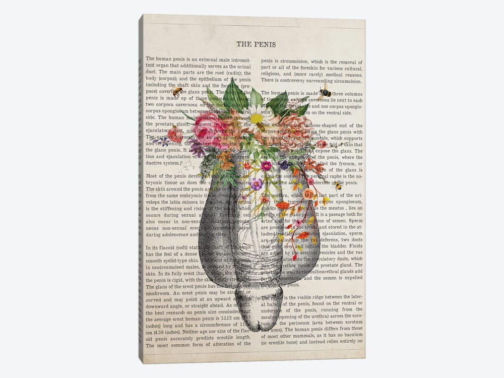 Human Penis Anatomy Flower by Aged Pixel 1-piece Art Print