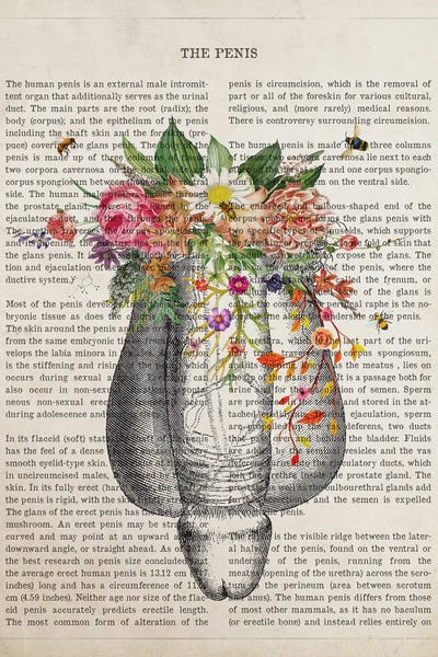 Science: Human Penis Anatomy Flower by Aged Pixel
