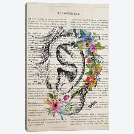 Outer Ear Anatomy Flower Canvas Print #ADP3494} by Aged Pixel Canvas Print