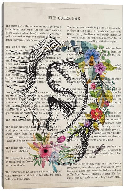 Outer Ear Anatomy Flower Canvas Art Print - Anatomy Art