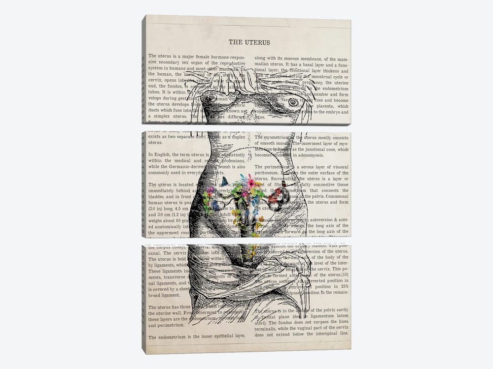 Uterus Anatomy Flower by Aged Pixel 3-piece Art Print
