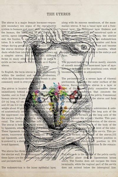 Science: Uterus Anatomy Flower by Aged Pixel