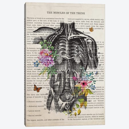 Muscles Of The Trunk Anatomy Flower Canvas Print #ADP3496} by Aged Pixel Art Print