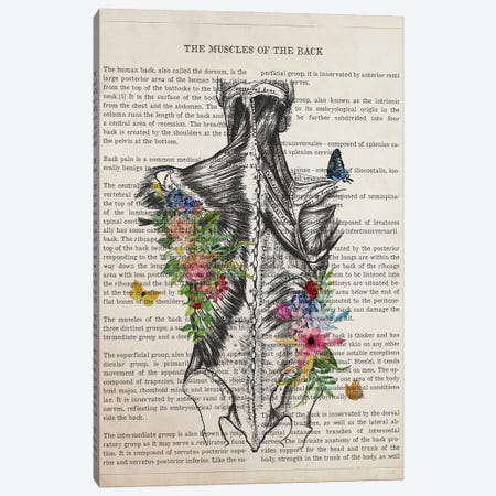 Muscles Of The Back Anatomy Flower Canvas Print #ADP3499} by Aged Pixel Canvas Wall Art