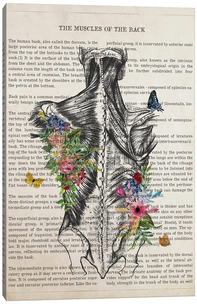 Muscles Of The Back Anatomy Flower Canvas Art Print - Anatomy Art