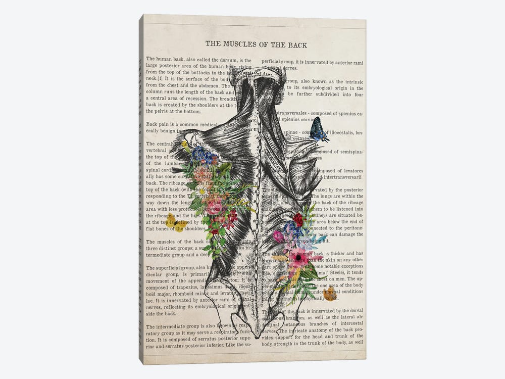 Muscles Of The Back Anatomy Flower by Aged Pixel 1-piece Art Print