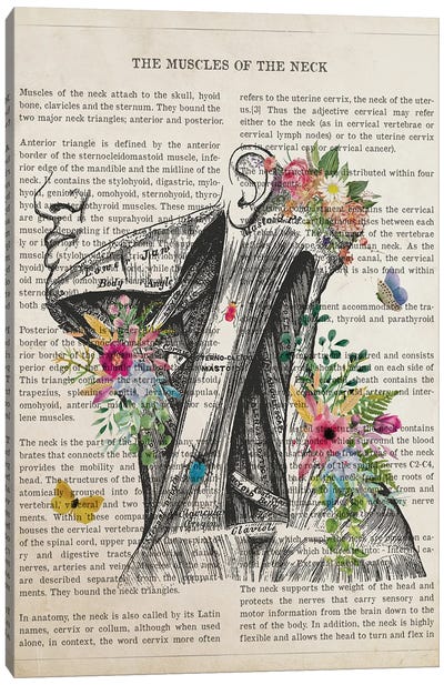 Muscles Of The Neck Anatomy Flower Canvas Art Print - Anatomy Art