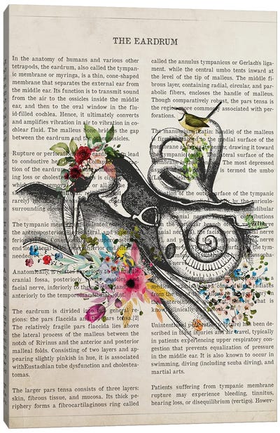 Eardrum Anatomy Flower Canvas Art Print - Anatomy Art