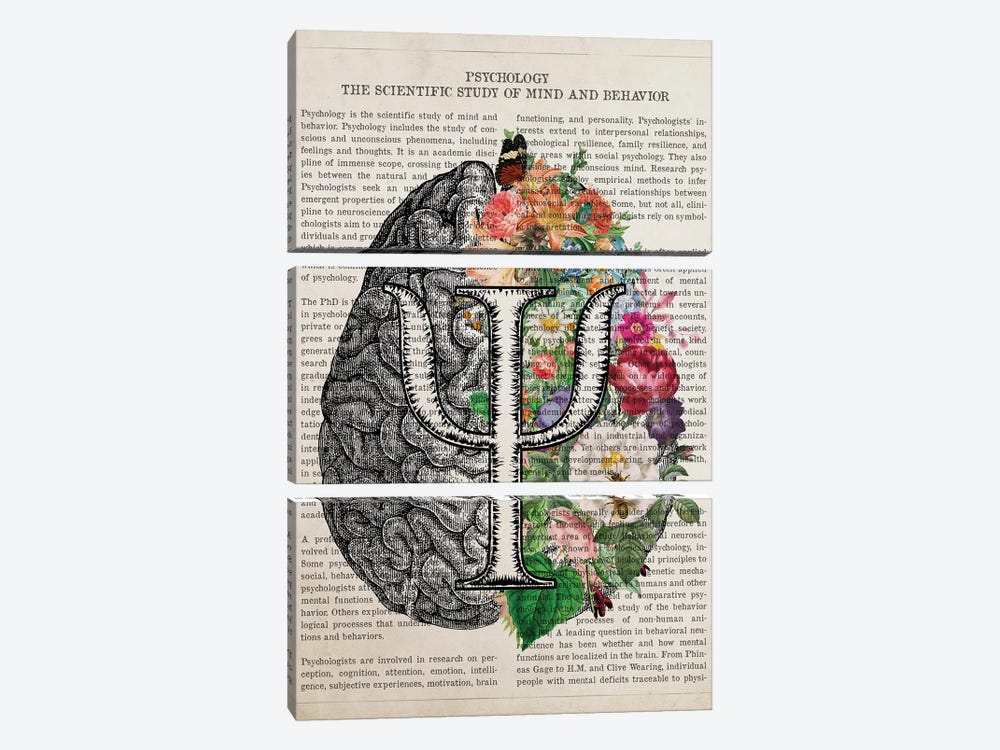 Psychology Brain Art Anatomy Flower by Aged Pixel 3-piece Canvas Art Print