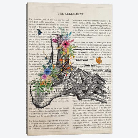 Ankle Joint Anatomy Flower Canvas Print #ADP3506} by Aged Pixel Canvas Print