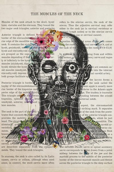 Muscles Of The Neck by Aged Pixel metal wall art