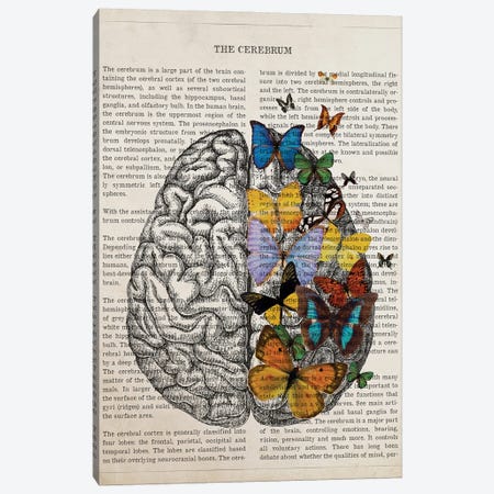 Brain Art Anatomy Butterfly Canvas Print #ADP3508} by Aged Pixel Canvas Wall Art