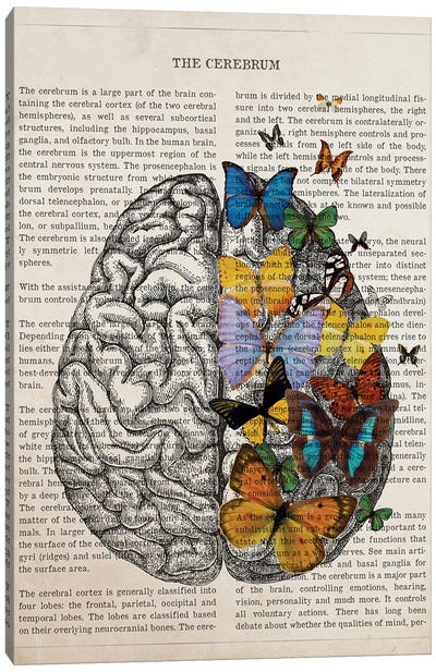 Brain Art Anatomy Butterfly Canvas Art Print - Aged Pixel