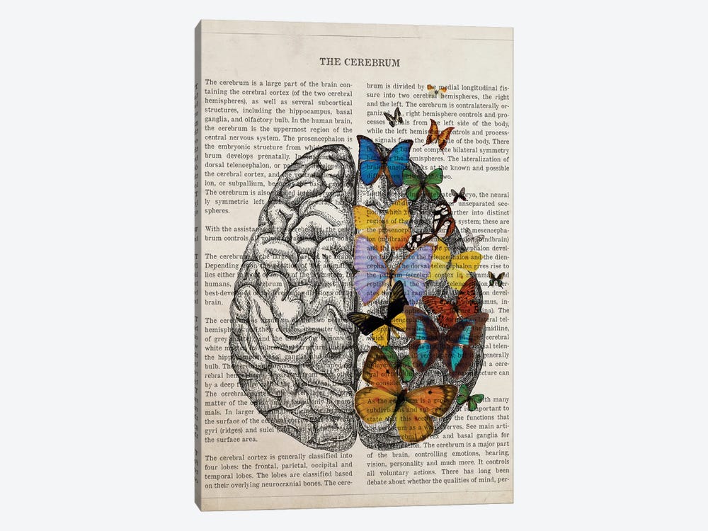 Brain Art Anatomy Butterfly by Aged Pixel 1-piece Canvas Artwork