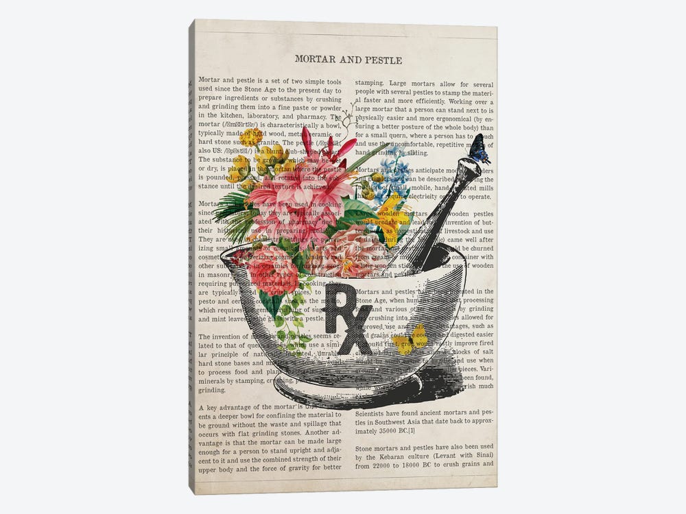 Mortar And Pestle Flower by Aged Pixel 1-piece Canvas Artwork