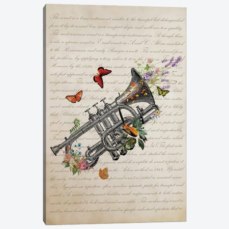 Cornet With Flowers Canvas Print #ADP3529} by Aged Pixel Canvas Wall Art