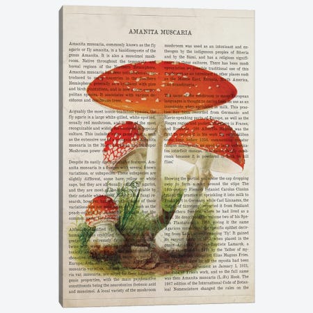 Mushroom Amanita Muscaria Canvas Print #ADP3533} by Aged Pixel Art Print