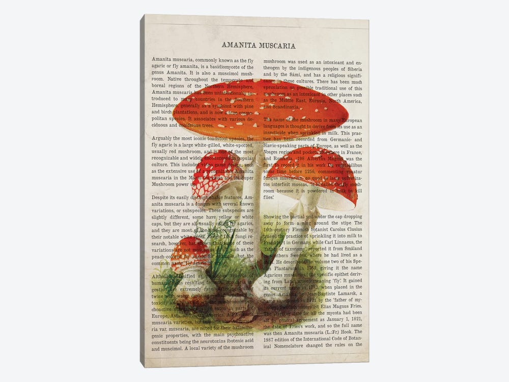 Mushroom Amanita Muscaria by Aged Pixel 1-piece Canvas Artwork