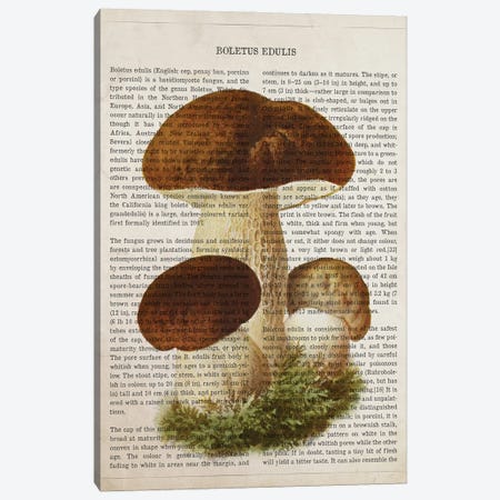 Mushroom Boletus Edulis Canvas Print #ADP3534} by Aged Pixel Canvas Artwork