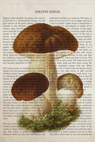 Vintage Botanical Illustrations: Mushroom Boletus Edulis by Aged Pixel