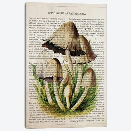 Mushroom Common Ink Cap Canvas Print #ADP3536} by Aged Pixel Canvas Wall Art