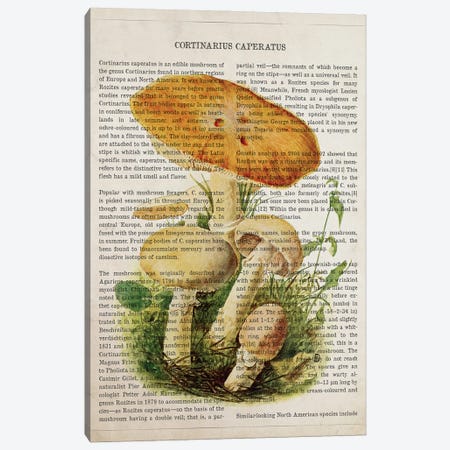 Mushroom Cortinarius Caperatus Canvas Print #ADP3537} by Aged Pixel Canvas Wall Art