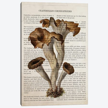 Mushroom Craterellus Cornucopioides Canvas Print #ADP3538} by Aged Pixel Art Print