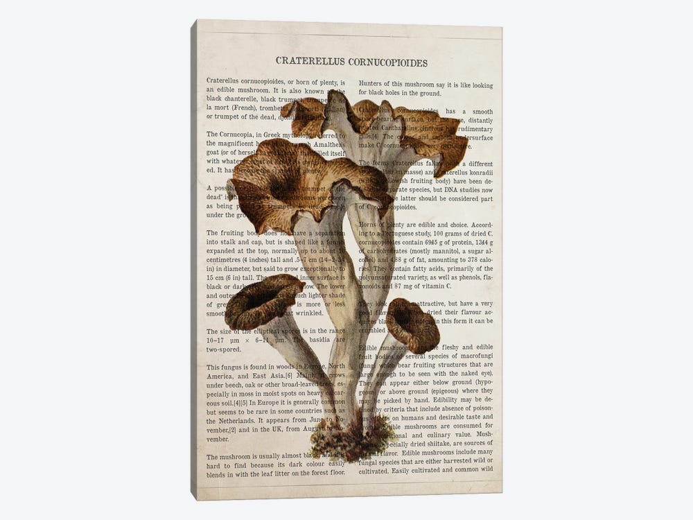 Mushroom Craterellus Cornucopioides by Aged Pixel 1-piece Canvas Art Print