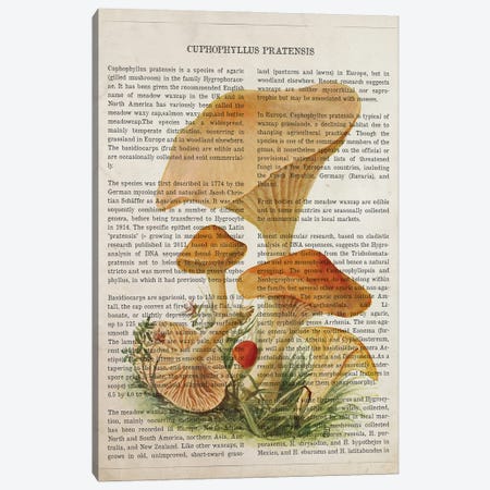 Mushroom Cuphophyllus Pratensis Canvas Print #ADP3539} by Aged Pixel Canvas Art Print