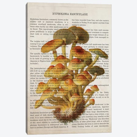 Mushroom Hypholoma Fasciculare Canvas Print #ADP3540} by Aged Pixel Canvas Art