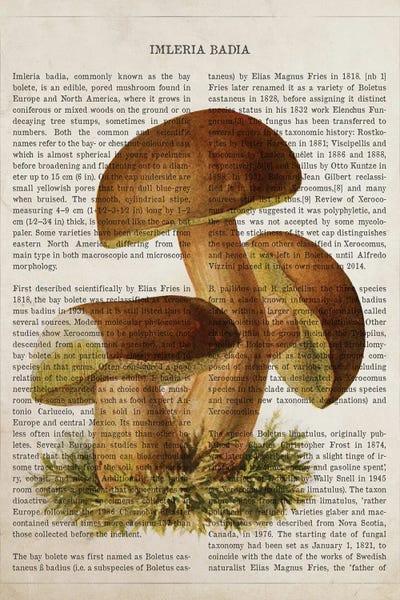Mushroom Imleria Badia by Aged Pixel art print