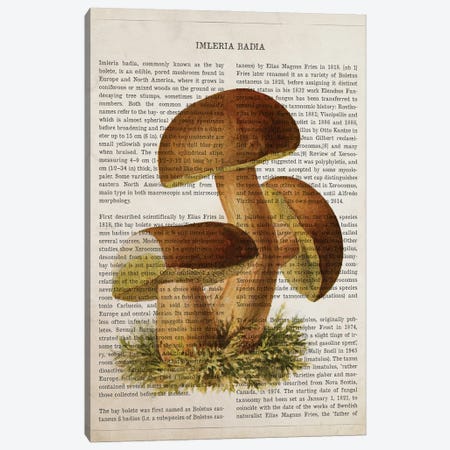 Mushroom Imleria Badia Canvas Print #ADP3541} by Aged Pixel Canvas Art