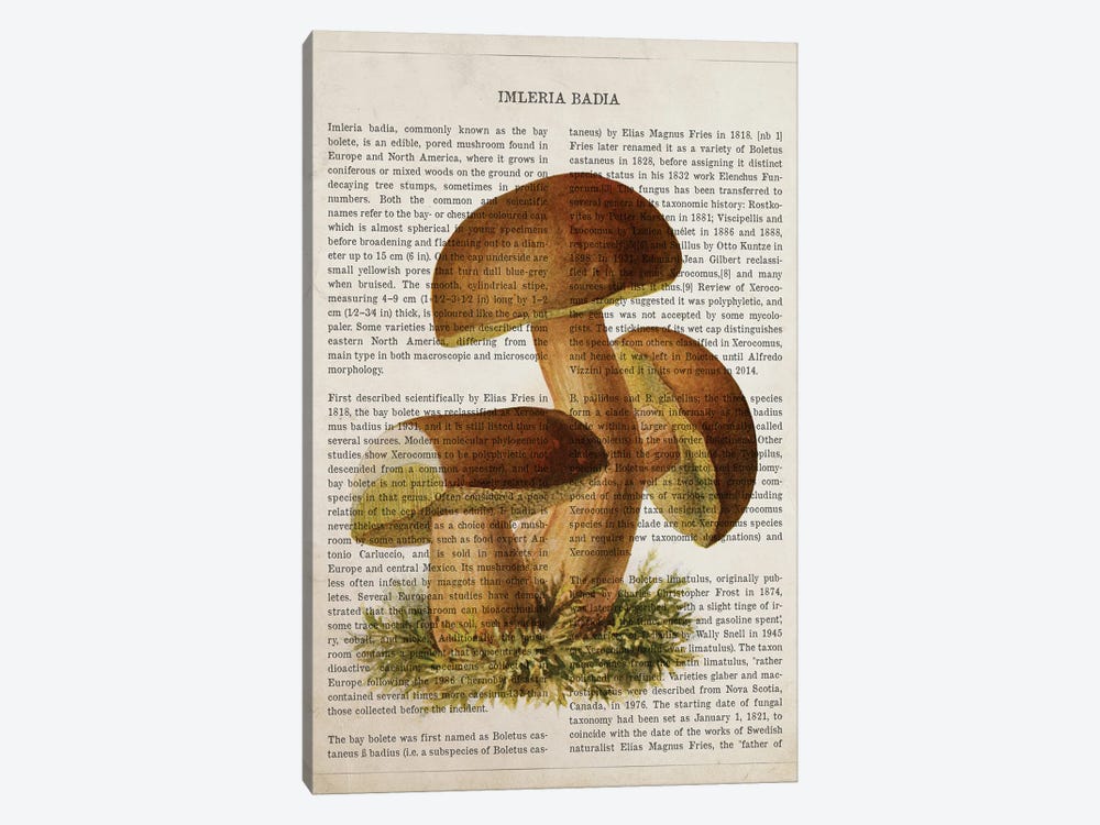 Mushroom Imleria Badia by Aged Pixel 1-piece Canvas Print