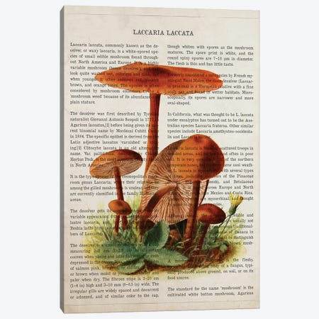 Mushroom Laccaria Laccata Canvas Print #ADP3542} by Aged Pixel Canvas Wall Art