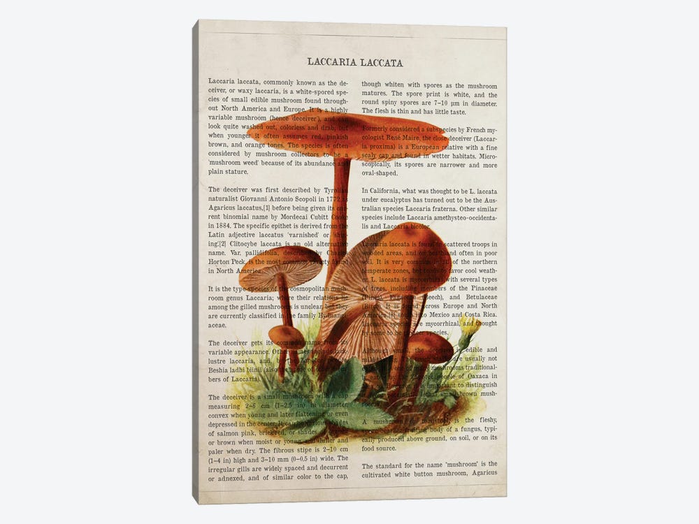 Mushroom Laccaria Laccata by Aged Pixel 1-piece Canvas Wall Art