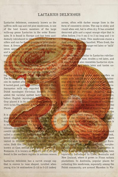 Mushroom Lactarius Deliciosus by Aged Pixel art print
