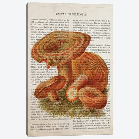 Mushroom Lactarius Deliciosus Canvas Print #ADP3543} by Aged Pixel Canvas Artwork