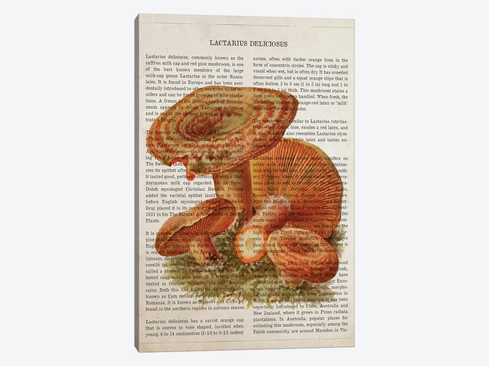 Mushroom Lactarius Deliciosus by Aged Pixel 1-piece Canvas Art Print