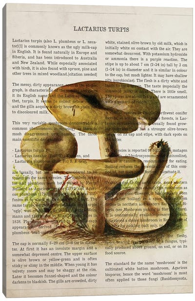Mushroom Lactarius Turpis Canvas Art Print - Botanical Illustrations