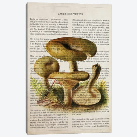 Mushroom Lactarius Turpis Canvas Print #ADP3544} by Aged Pixel Canvas Art Print