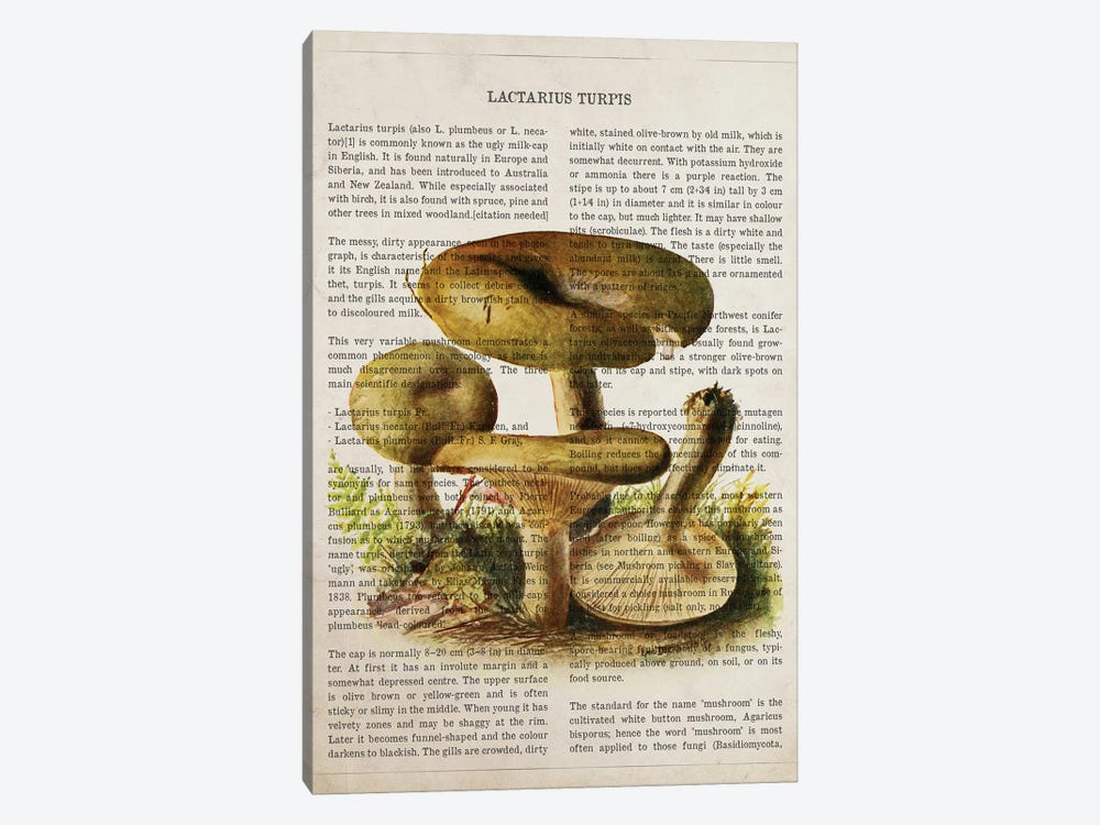 Mushroom Lactarius Turpis by Aged Pixel 1-piece Canvas Wall Art