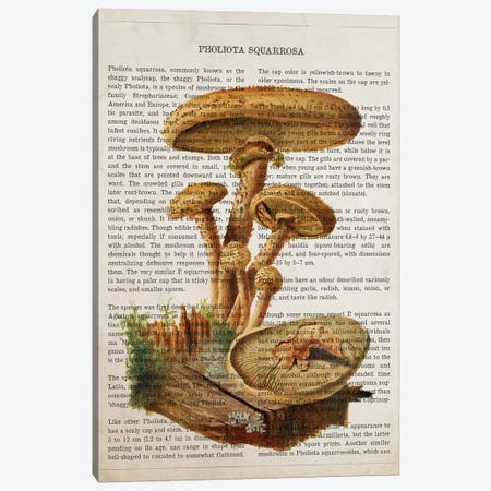 Mushroom Pholiota Squarrosa Canvas Print #ADP3545} by Aged Pixel Canvas Art Print