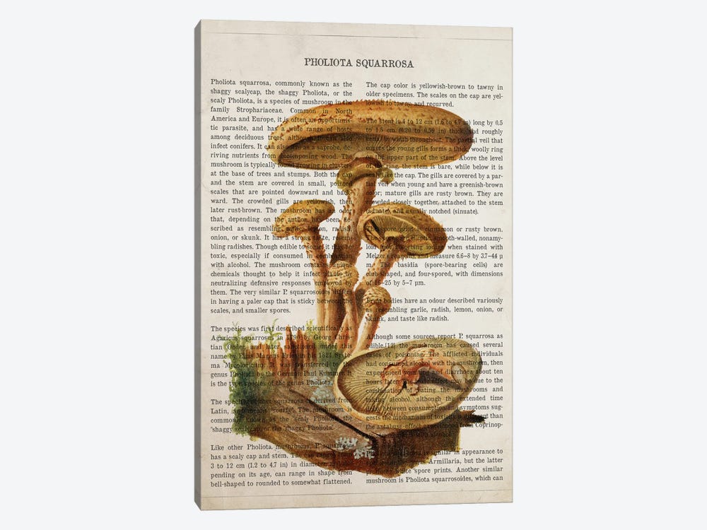 Mushroom Pholiota Squarrosa by Aged Pixel 1-piece Canvas Art Print