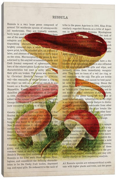 Mushroom Russula Canvas Art Print - Botanical Illustrations