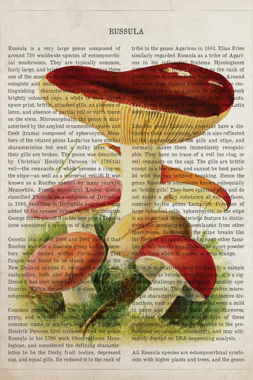 Mushroom Russula