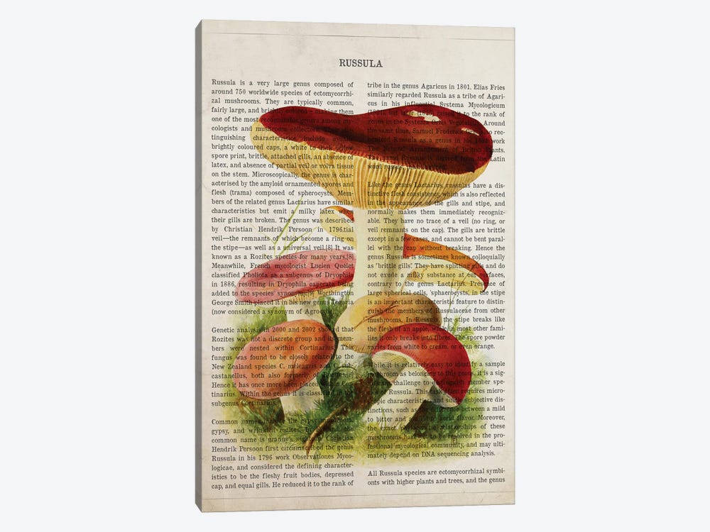 Mushroom Russula by Aged Pixel 1-piece Canvas Artwork
