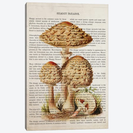 Mushroom Shaggy Parasol Canvas Print #ADP3547} by Aged Pixel Canvas Print