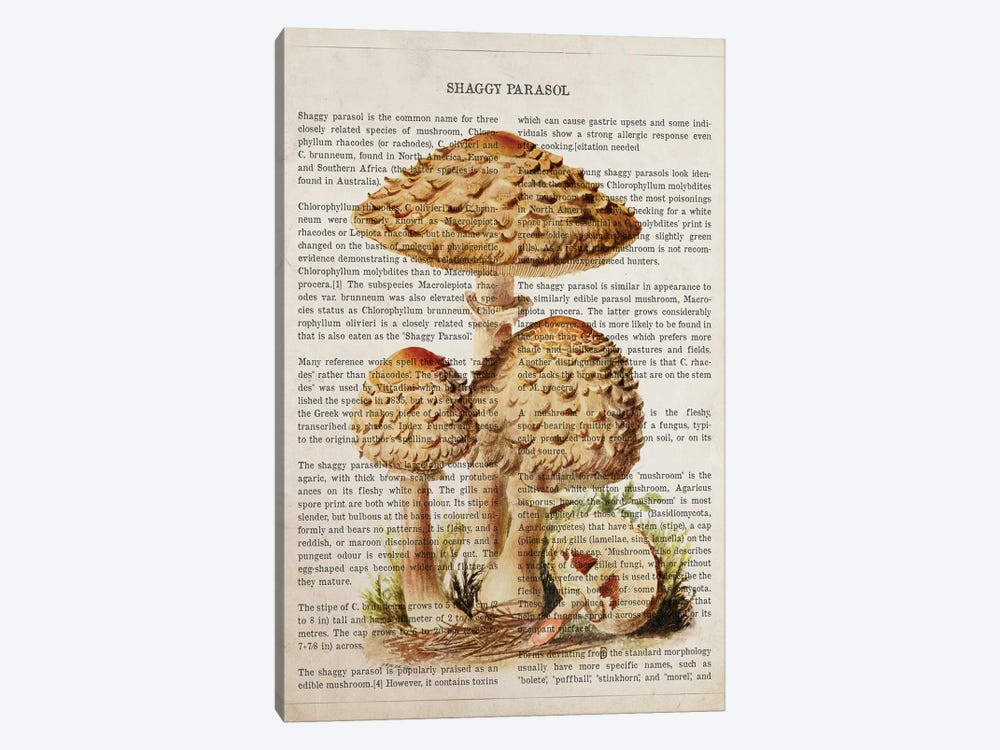 Mushroom Shaggy Parasol by Aged Pixel 1-piece Art Print